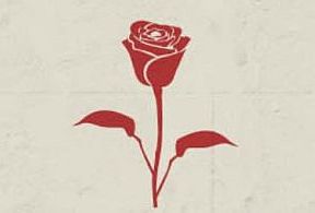 Die Rosenverkäuferin - Trickbetrüger auf Städtereisen Die Rosenverkäuferin - Trickbetrüger auf Städtereisen